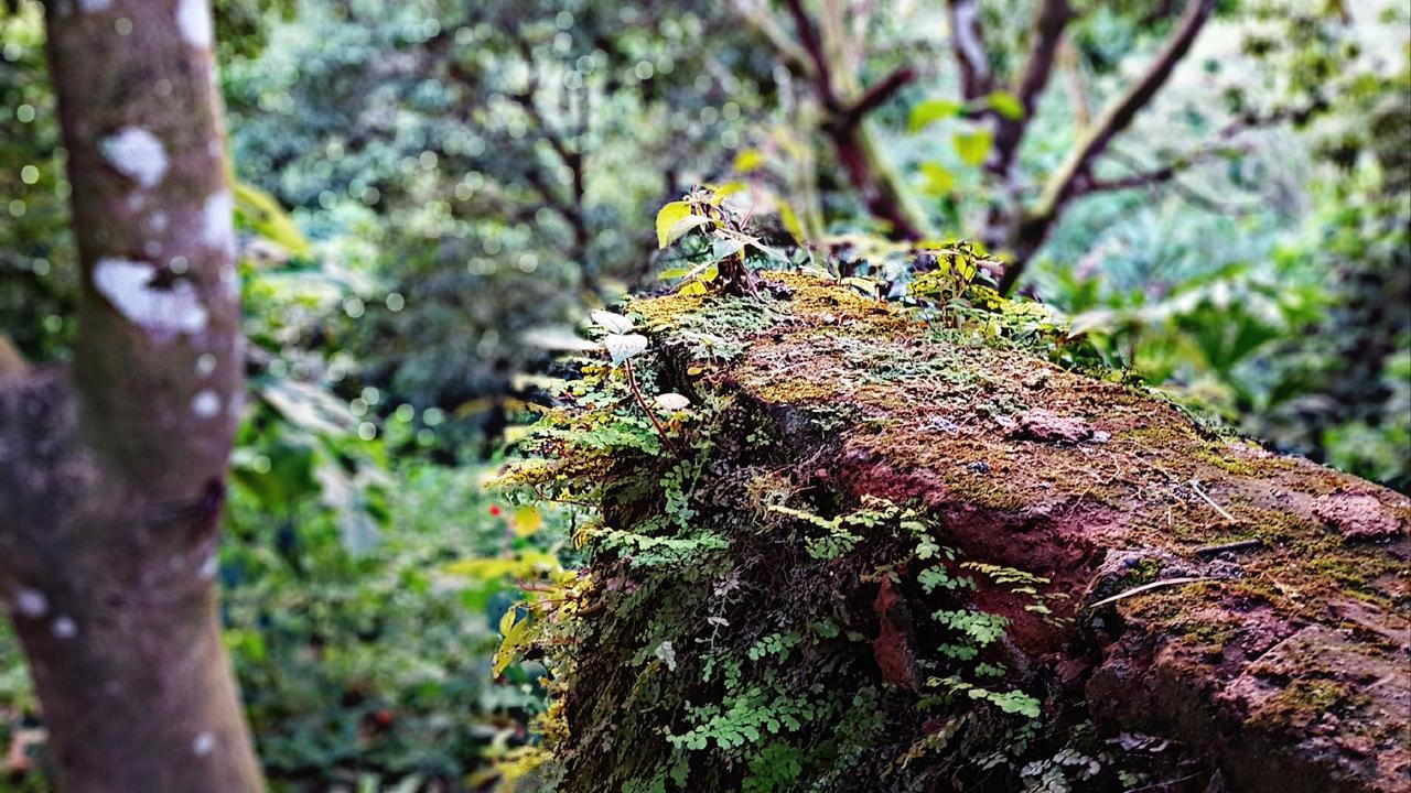 ホテル Akainoie ミンカ エクステリア 写真