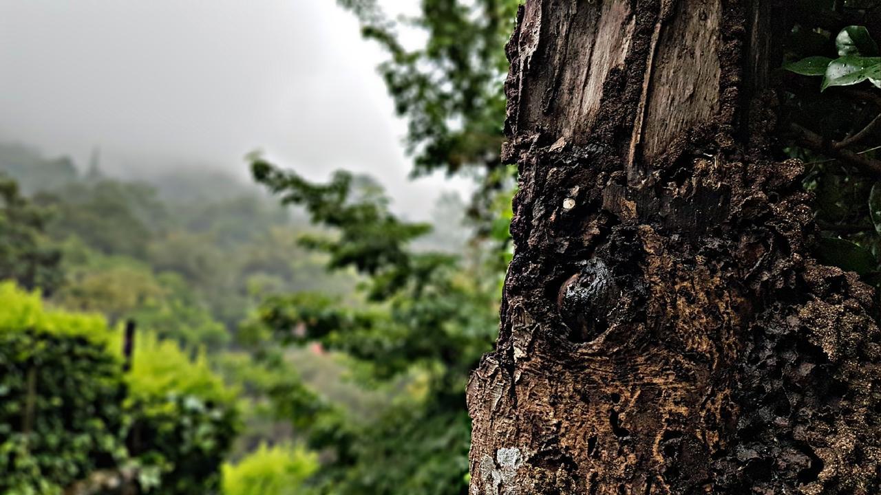 ホテル Akainoie ミンカ エクステリア 写真